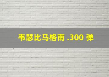 韦瑟比马格南 .300 弹